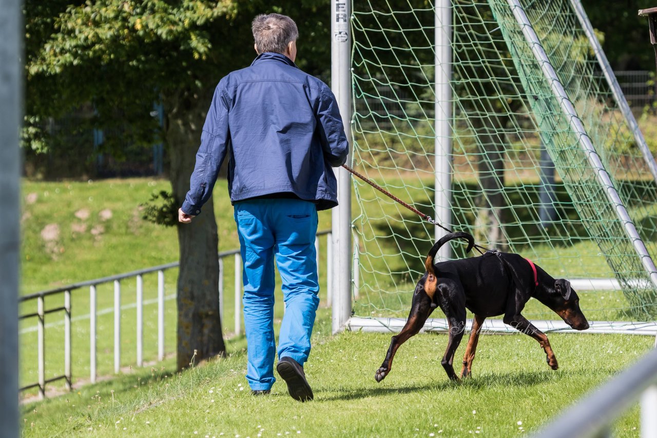 Bild 323 - Frauen SV Henstedt Ulzburg 3 - Bramfeld 3 : Ergebnis: 5:1